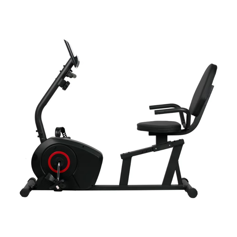 YTYIN 家庭用 カスタム仕様の有酸素運動器具 リクライニ - Exercise Bike Magnetic Resistance のレビューと価格