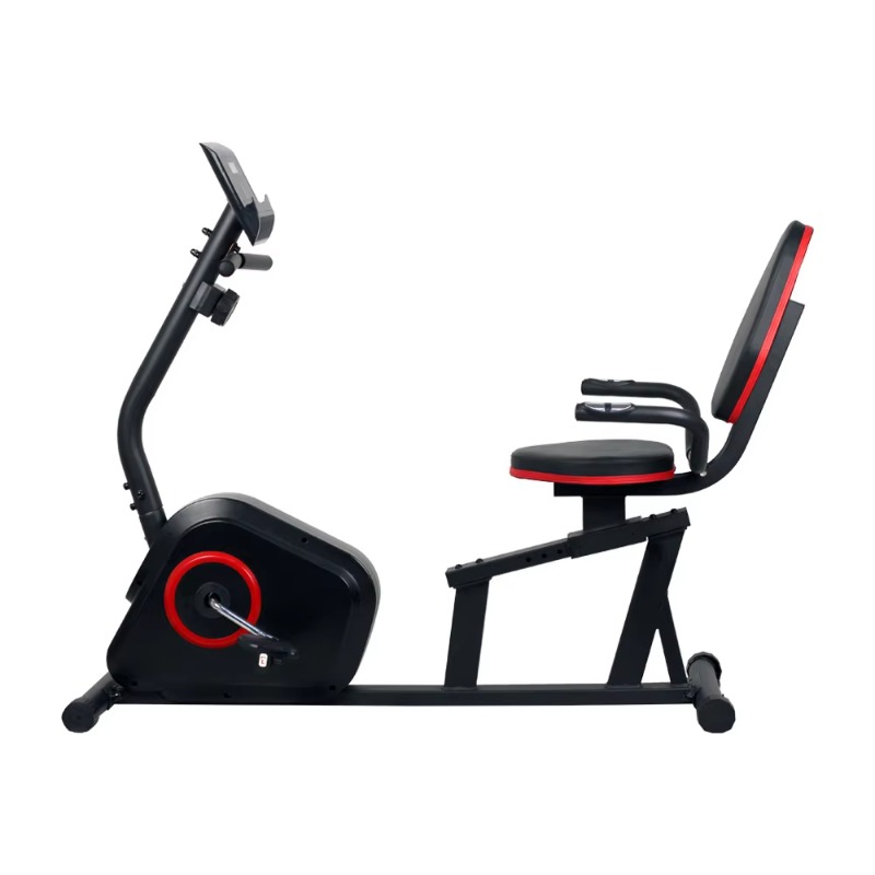 YTYIN 家庭用 カスタム仕様の有酸素運動器具 リクライニ - Exercise Bike Magnetic Resistance のレビューと価格